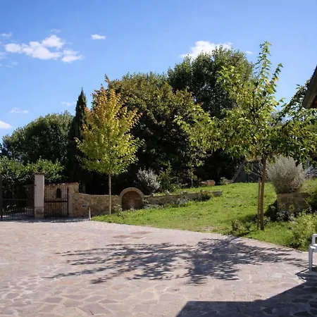 Vineyard