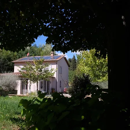 Vineyard Vila *