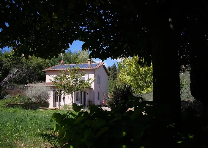 Villa Montepulciano Vineyard And Pool Retreat ヴィラ *